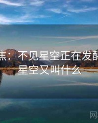 媒体聚焦：不见星空正在发酵，不见星空又叫什么