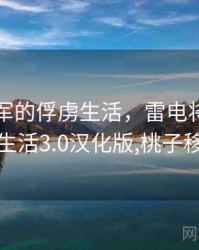 雷电将军的俘虏生活，雷电将军的俘虏生活3.0汉化版,桃子移植