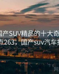 盘点：国产SUV精品的十大奇葩故事 · 热点263，国产suv汽车推荐
