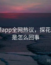 探花视频app全网热议，探花app视频是怎么回事
