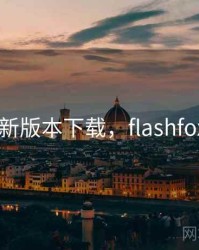 flash最新版本下载，flashfox最新版