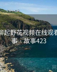 和朋友聊起野花视频在线观看时的趣事 · 故事423