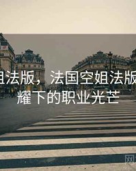 法国空姐法版，法国空姐法版_星辉照耀下的职业光芒