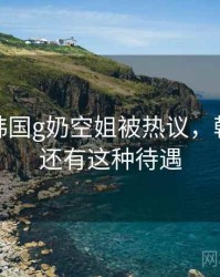 快讯：韩国g奶空姐被热议，韩国空姐还有这种待遇