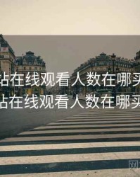 免费网站在线观看人数在哪买，免费网站在线观看人数在哪买ph