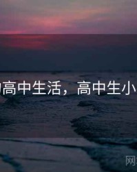 小诗的高中生活，高中生小诗小说