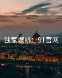 独家爆料：91官网