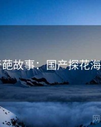 奇葩故事：国产探花海角