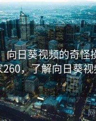 笑出声！向日葵视频的奇怪操作 · 独家260，了解向日葵视频