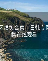 日韩专区爆笑合集，日韩专区爆笑合集在线观看