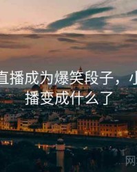 小妲己直播成为爆笑段子，小妲己直播变成什么了