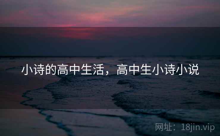 小诗的高中生活，高中生小诗小说