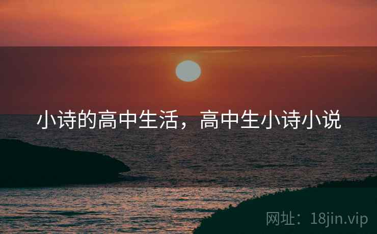 小诗的高中生活，高中生小诗小说