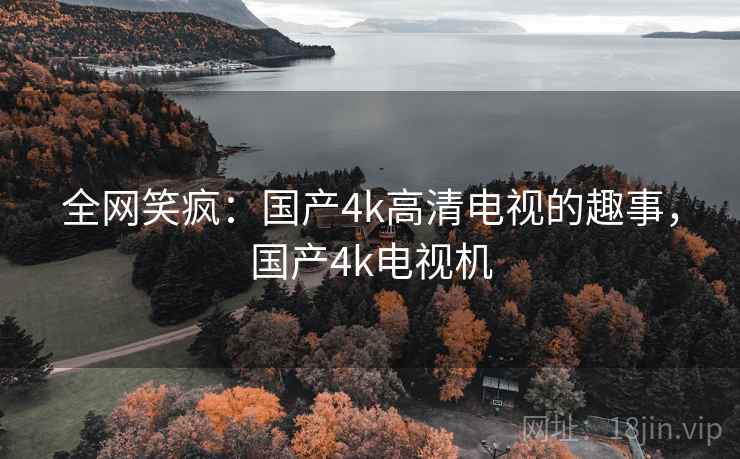 全网笑疯：国产4k高清电视的趣事，国产4k电视机