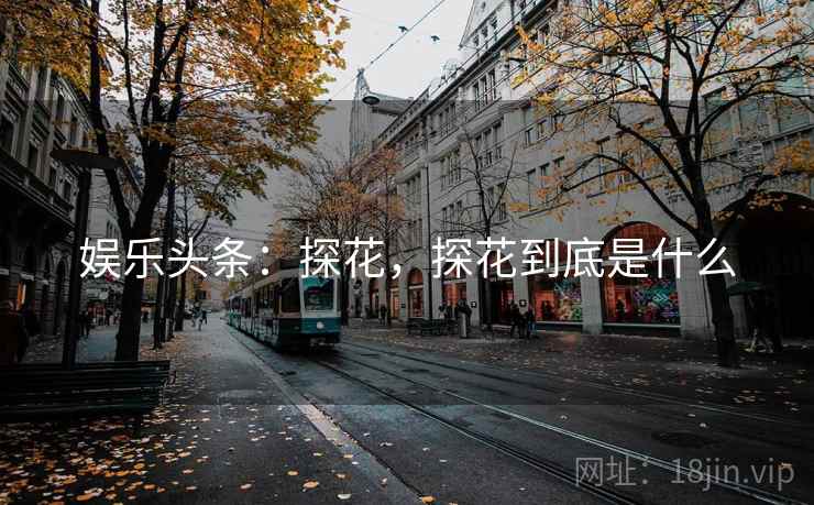 娱乐头条:探花,探花到底是什么 娱乐头条:探花,探花到底是什么