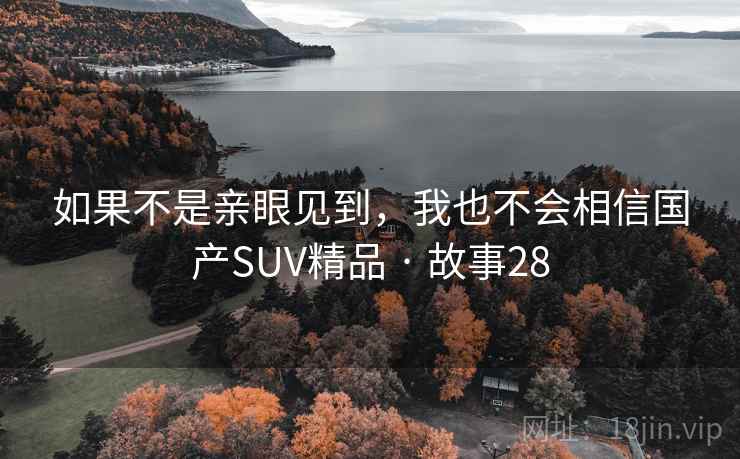 如果不是亲眼见到,我也不会相信国产SUV精品 · 故事28 如果不是亲眼见到,我也不会相信国产SUV精品 · 故事28