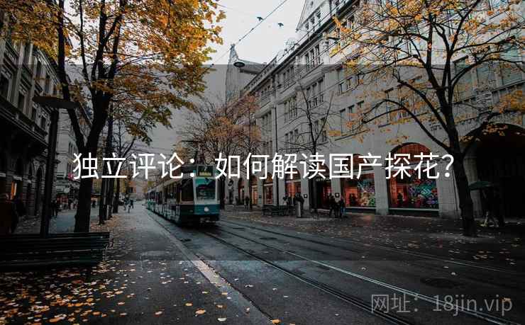 独立评论：如何解读国产探花？